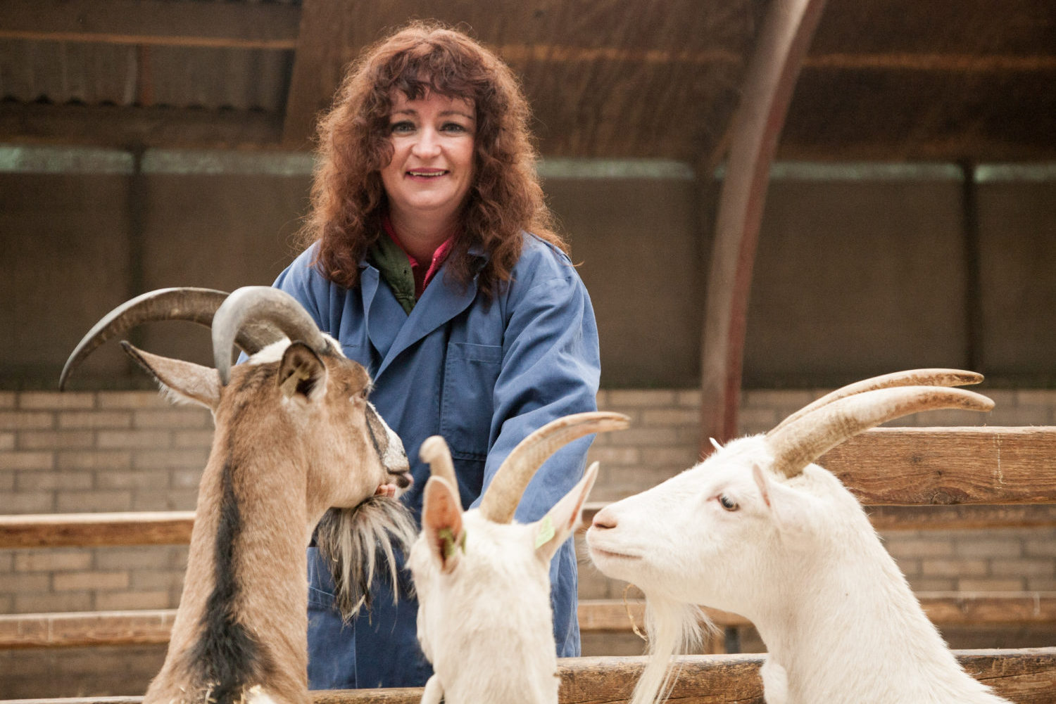Sandra-in-de-geitenstal
